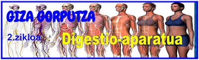 http://gizagorputza2.blogspot.com.es/