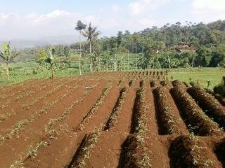 Di Jual Tanah Di Jual Tanah