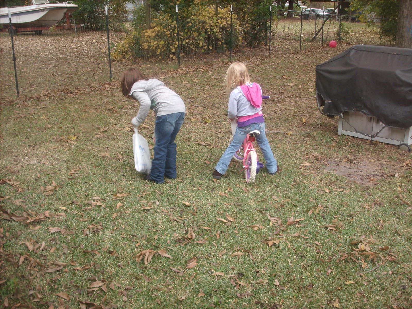 Our Little Family Picking Pecans