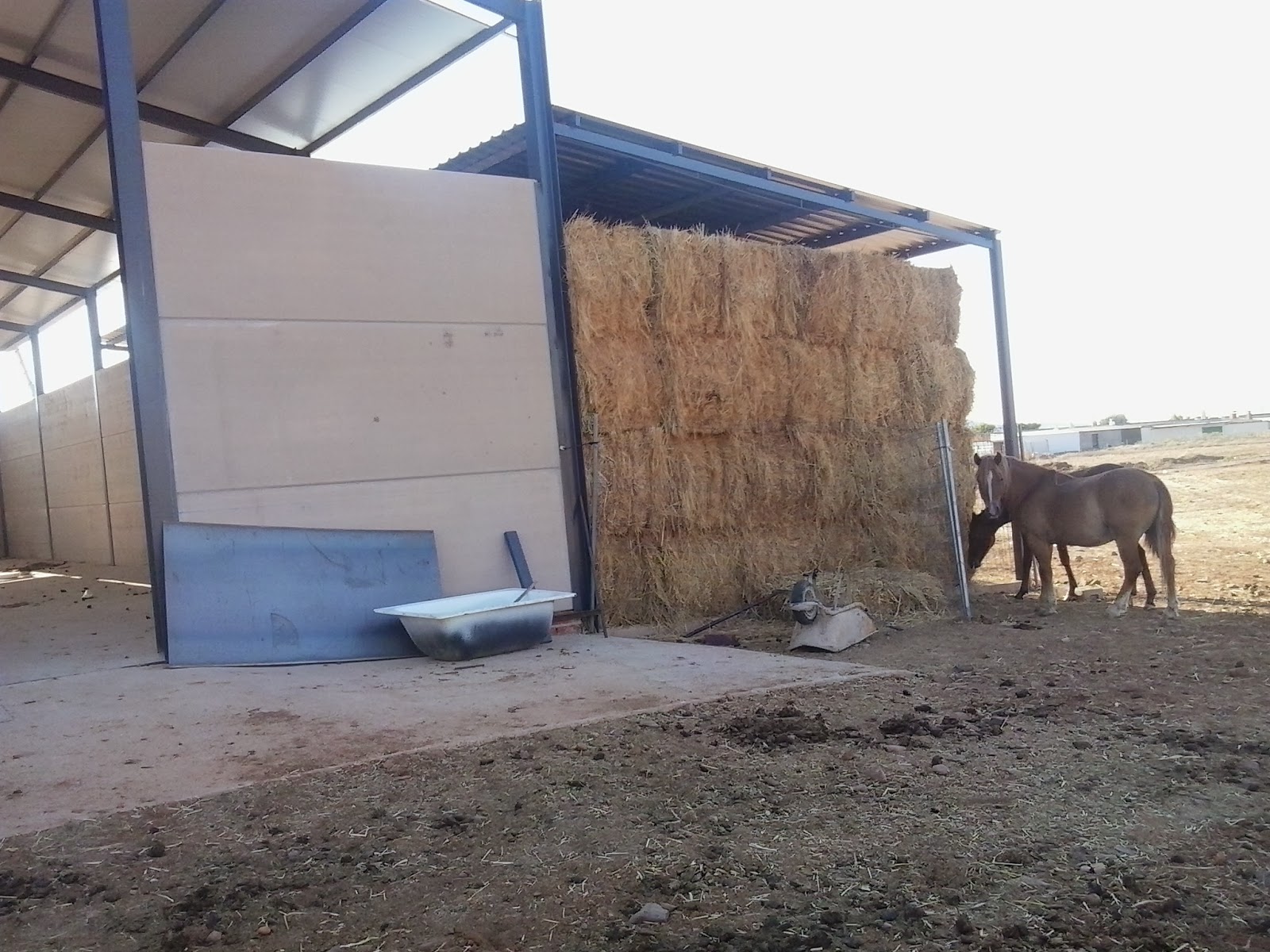 cobertizo ovino cobertizo para almacenamiento de aperos desde 100 m2 con cobertizo ovino cobertizo para almacenamiento de aperos desde 100 m2 con