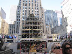 Christmas Tree at Rockefeller Center