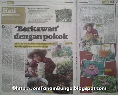 Jom Tanam Bunga Di Harian Metro