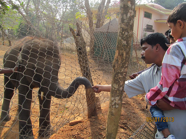 Nandankanan Zoo Odisha