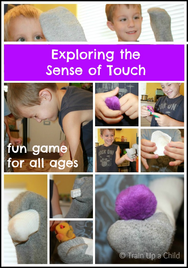 Exploring the Sense of Touch Learn Play Imagine