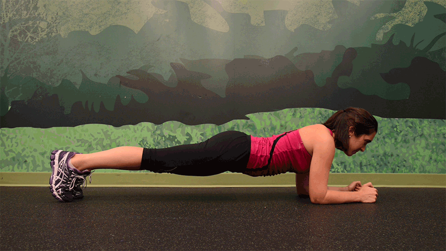 Plank With Leg Lift