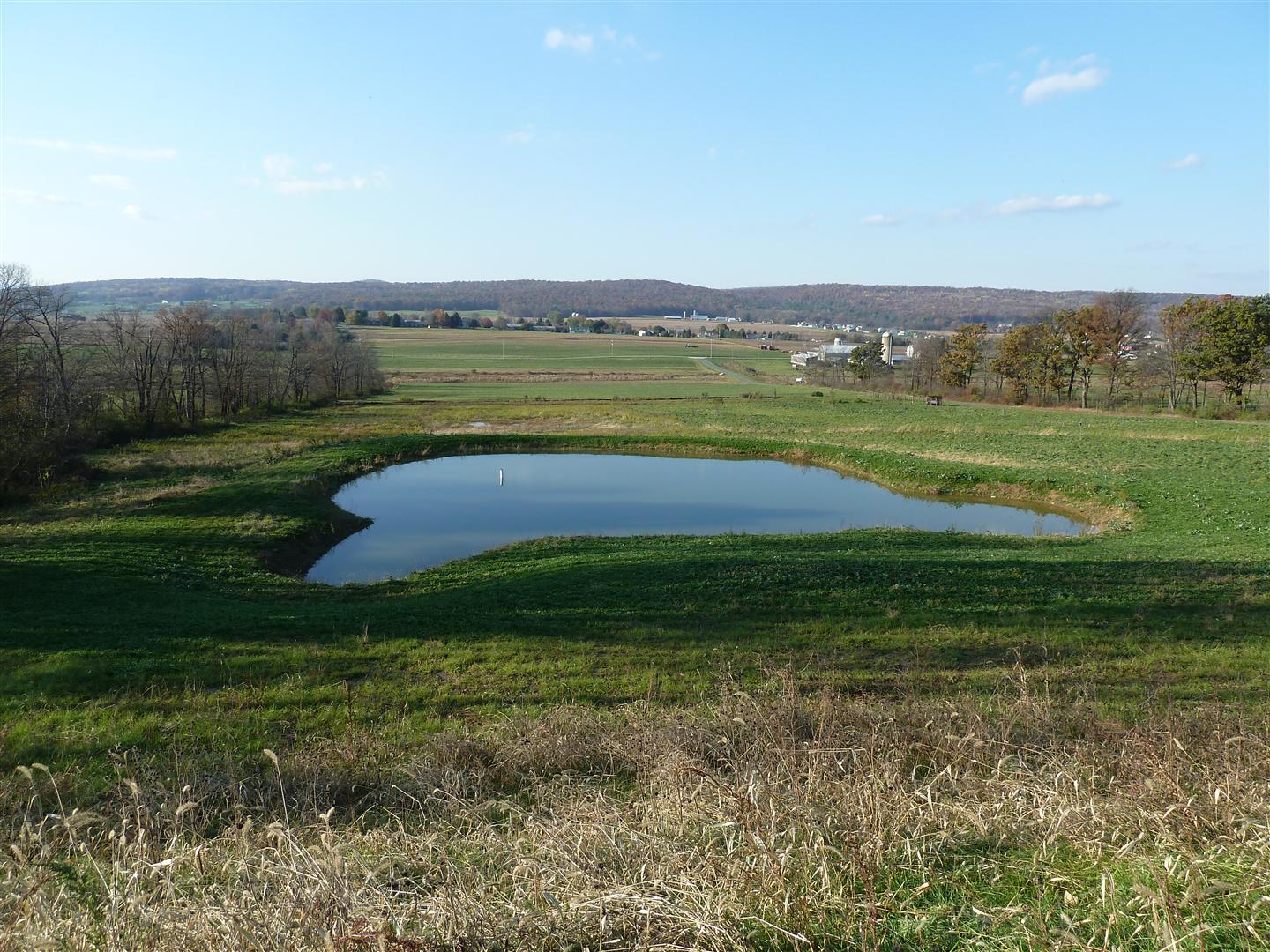 pond-vacuum.jpg