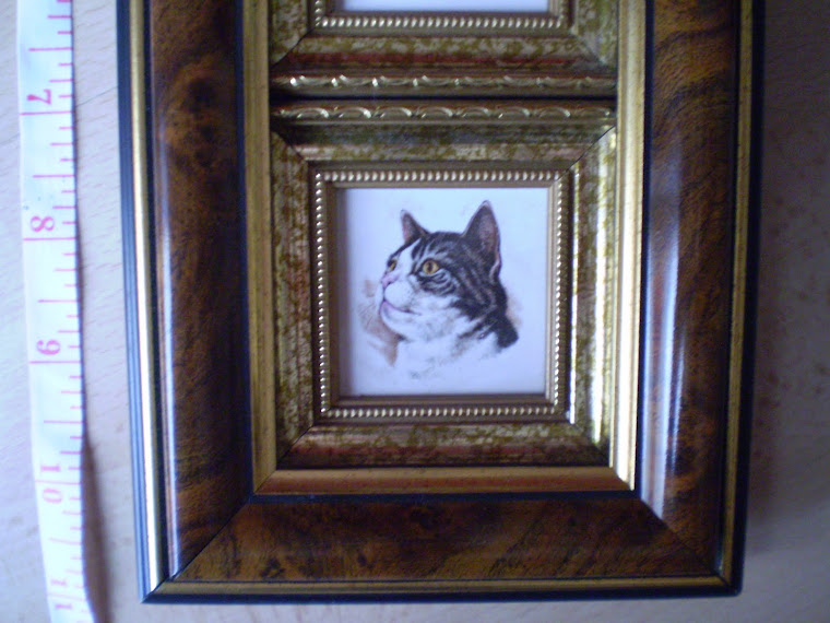 cats, miniature 4,8/11, print, framed, detail,