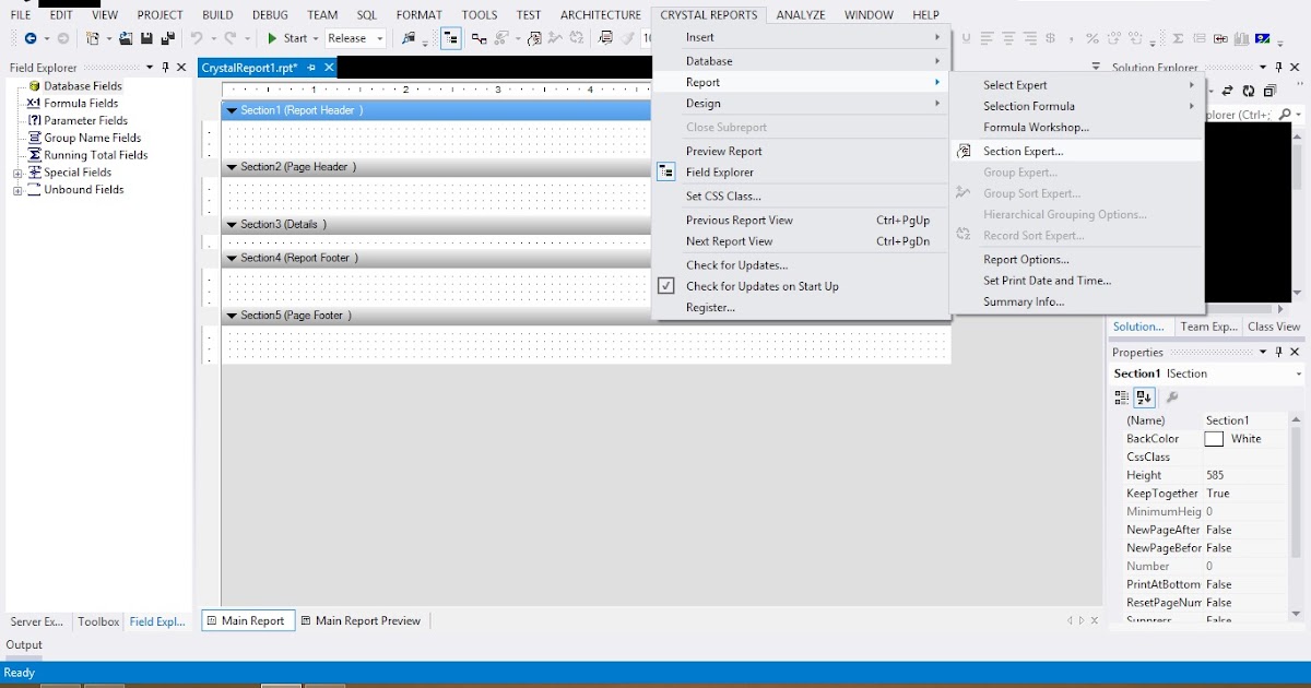 crystal report print control 13.0 crystal report print control 13.0