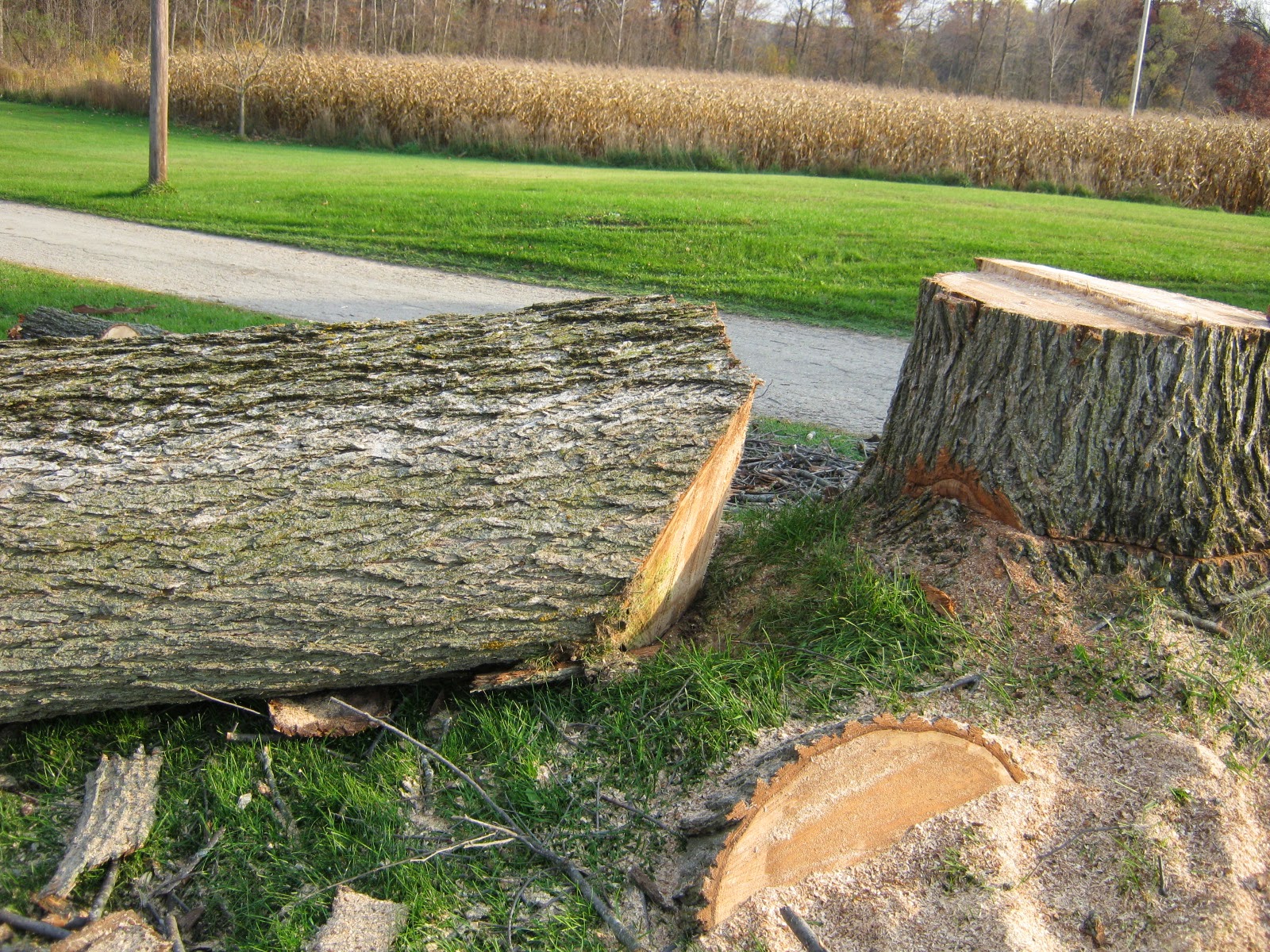 Primitive Passion Decorating Last Ash Tree cut down in our yard.....
