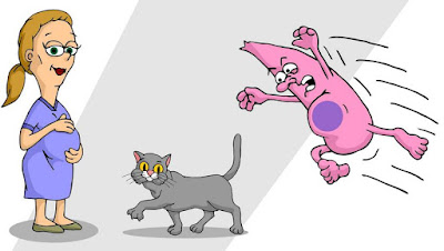 Gejala Penyakit Toxoplasma & Pengobatan Toksoplasma Gb. Gejala Penyakit Toxoplasma & Pengobatan Toksoplasma