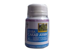 ramuan herbal penyakit gonore kencing nanah