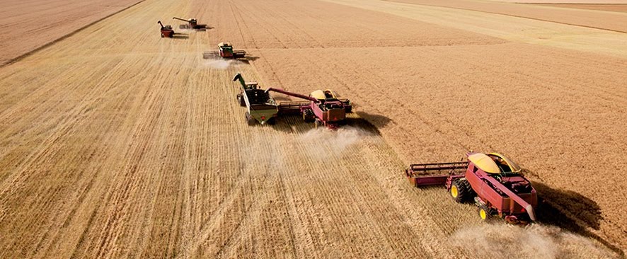 Agro Em Foco