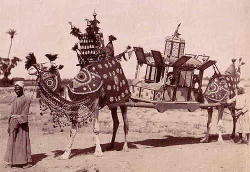 التختروان ماهو تعريف التختروان؟بالصور Marriage+Procession,+Egypt,+19th+Century+(1870-80,+Photograph+Zangaki+Brothers