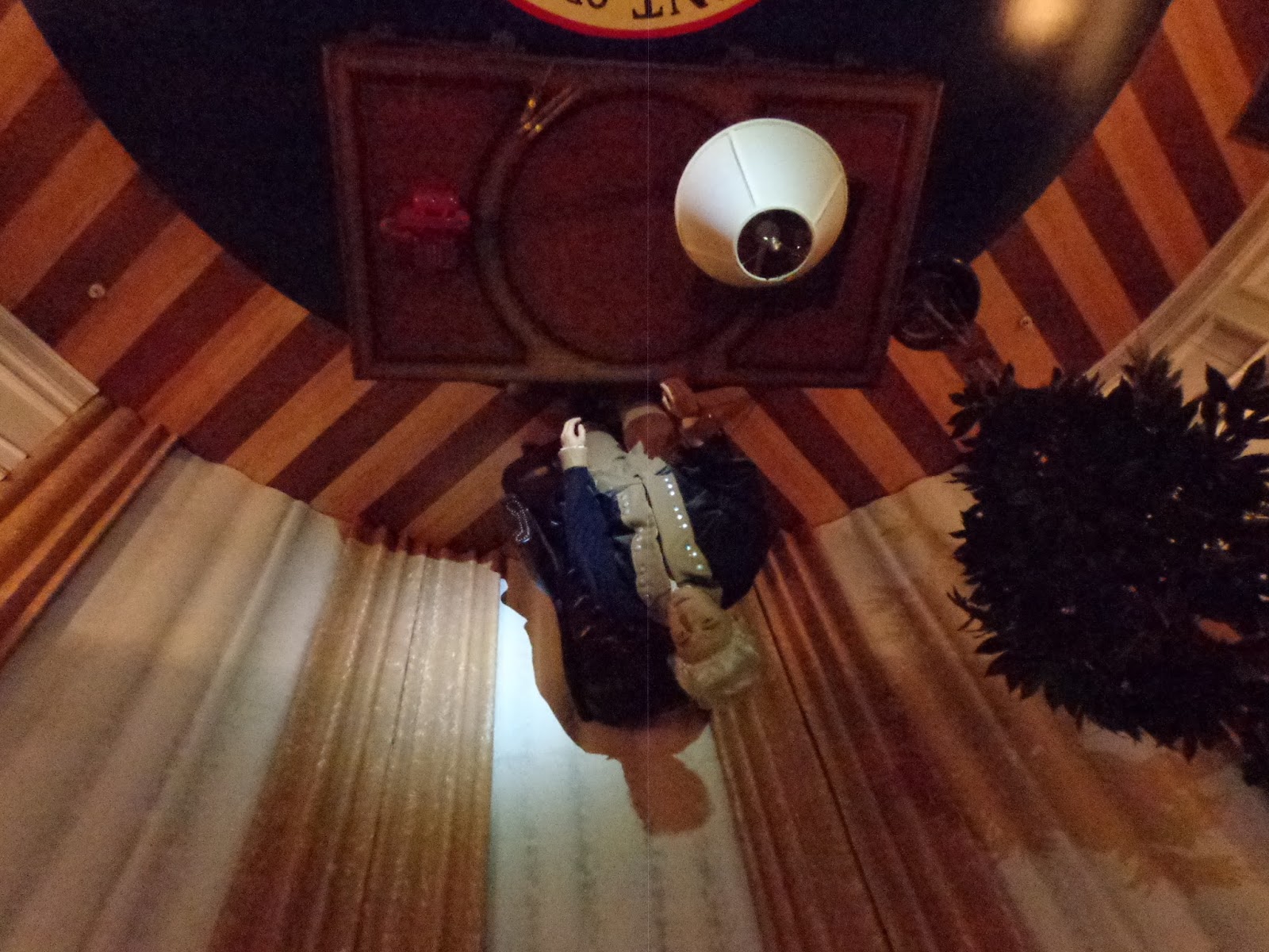 Unique Places UpsideDown White House [Wisconsin Dells, WI, USA]