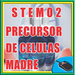 STEMO2 - PRECURSOR DE LAS CELULAS MADRE