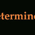 Determinantes en Inglés