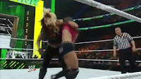 ~ MATCH 2 : AJ LEE VS PAIGE  AJ+-+One+Arm+DDT