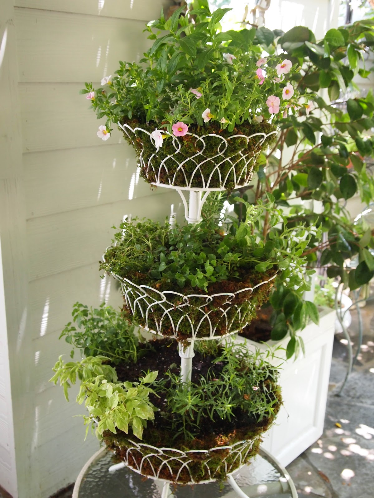 Marie Arden Pink Living Tutorial Three Tier Wire Herb Planter