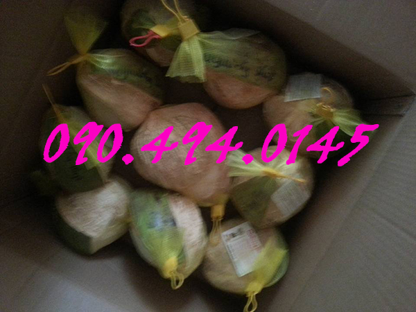 dừa sáp giá rẻ