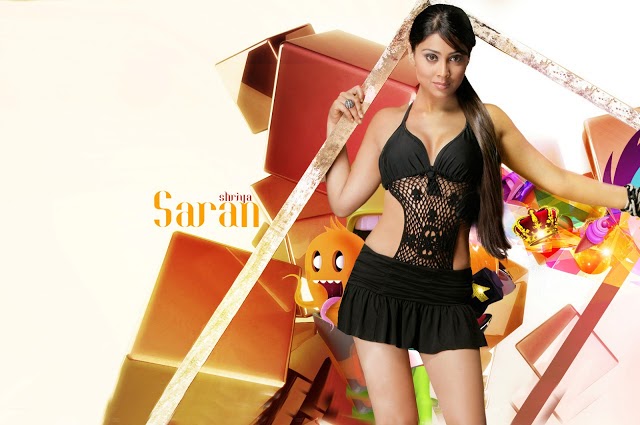 Shriya Saran Hot HD Wallpapers 2014 Shriya Saran Hot HD Wallpapers 2014