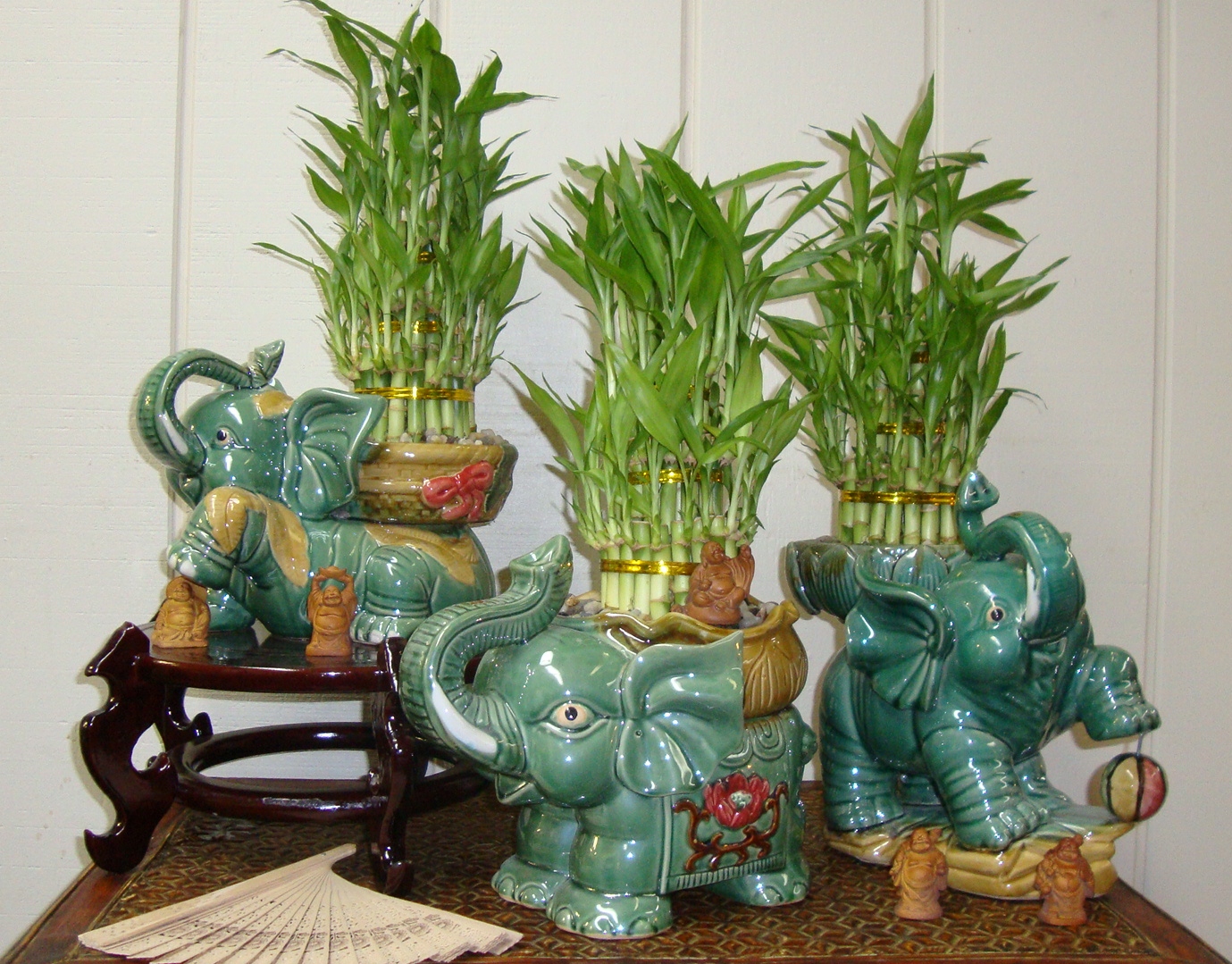 The Enchanted Petal For the Love of Lucky Bamboo
