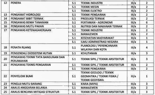 Formasi CPNS Jawa Timur 2013 Formasi CPNS Jawa Timur 2013