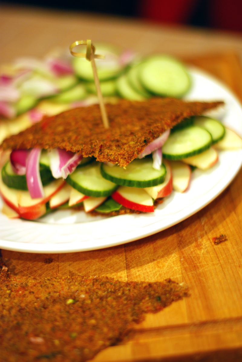 Vegan on the Go Raw Recipe Spicy Onion Bread