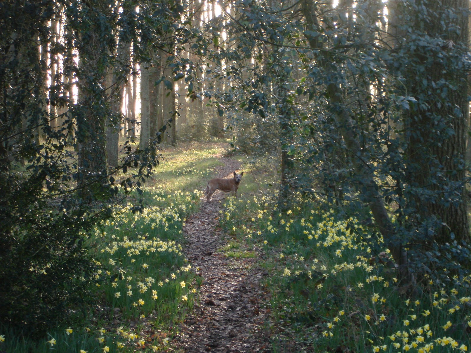 homme dans la nature
