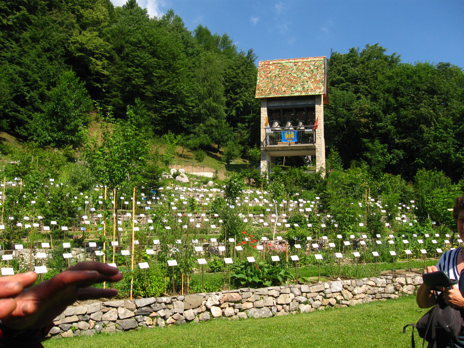 GIARDINI DA VISITARE: Giardino dei semplici Polse di ...