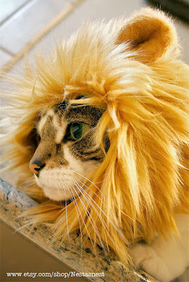 Convierte un gato en león