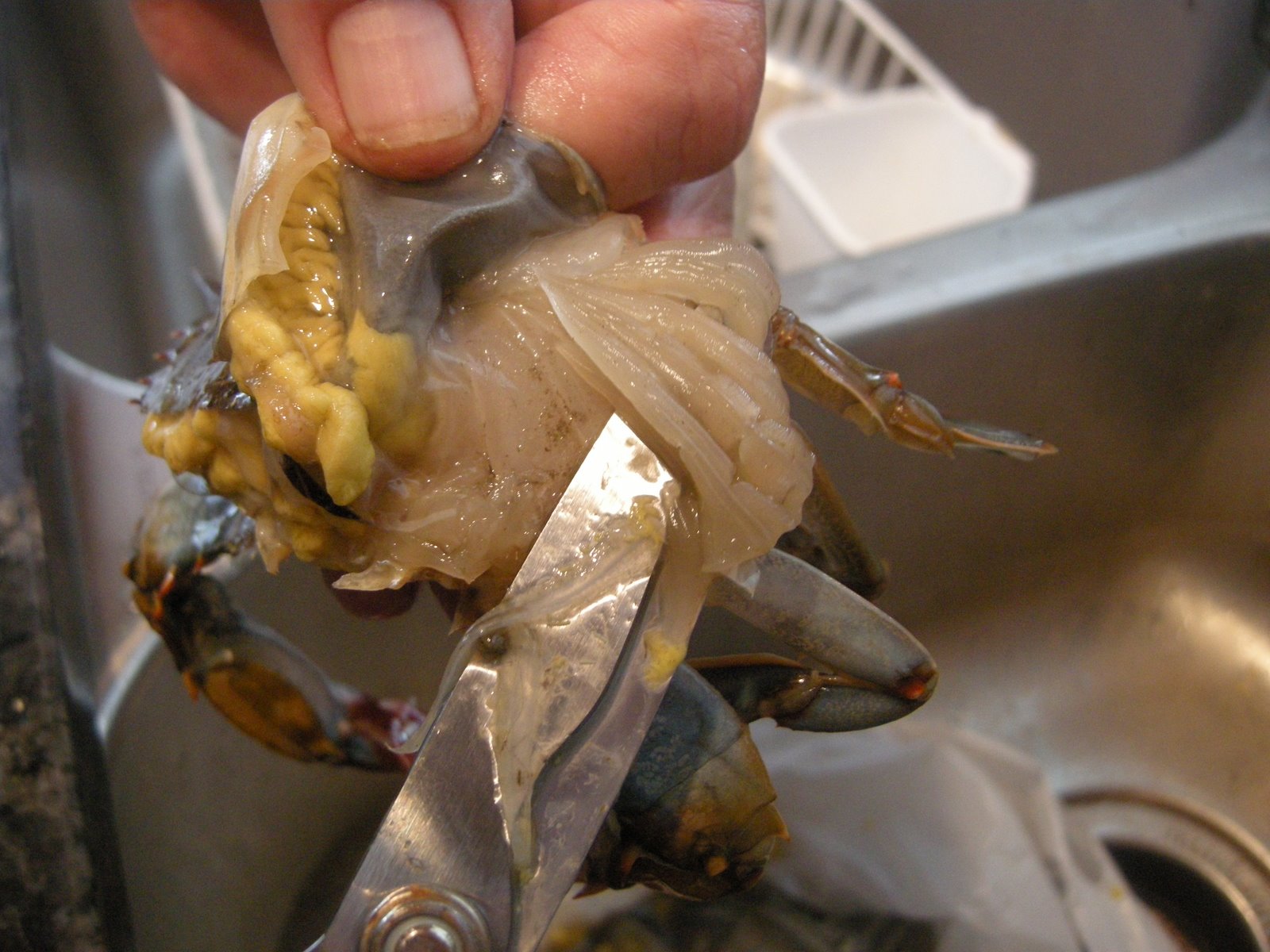 cleaning soft shell crab