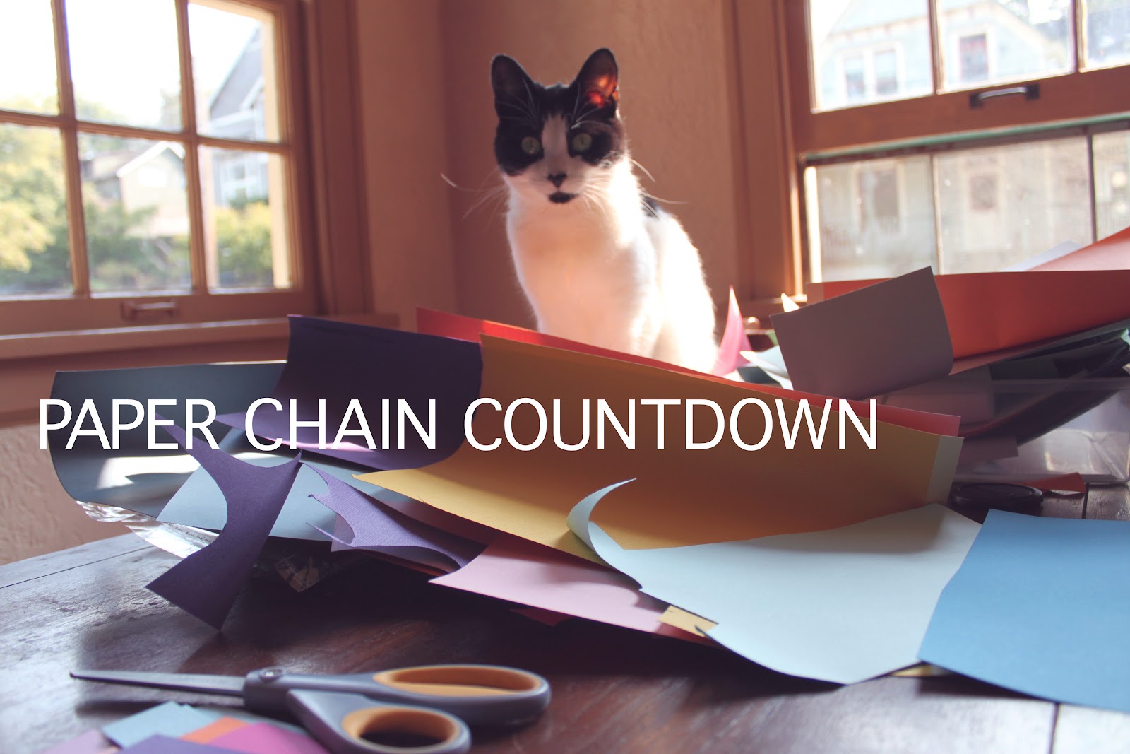on my honor...: DIY: Paper Chain Countdown