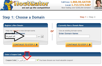 promo codes for hostgator the best webhosting 2013