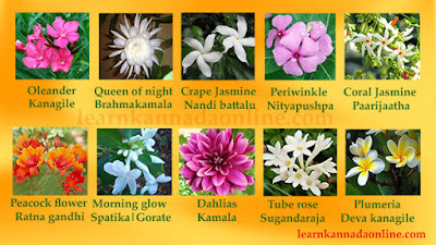 Garden device logo plant life for baby dedication