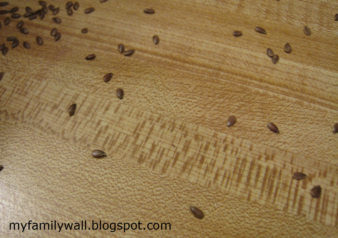 LINK Droppingslooklikeblacksesameseeds