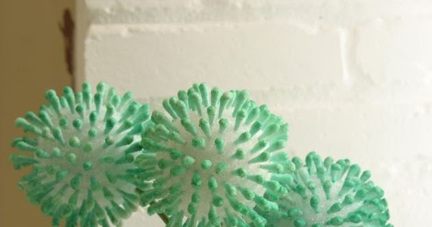 Mimpa y yo: Flores para el baño