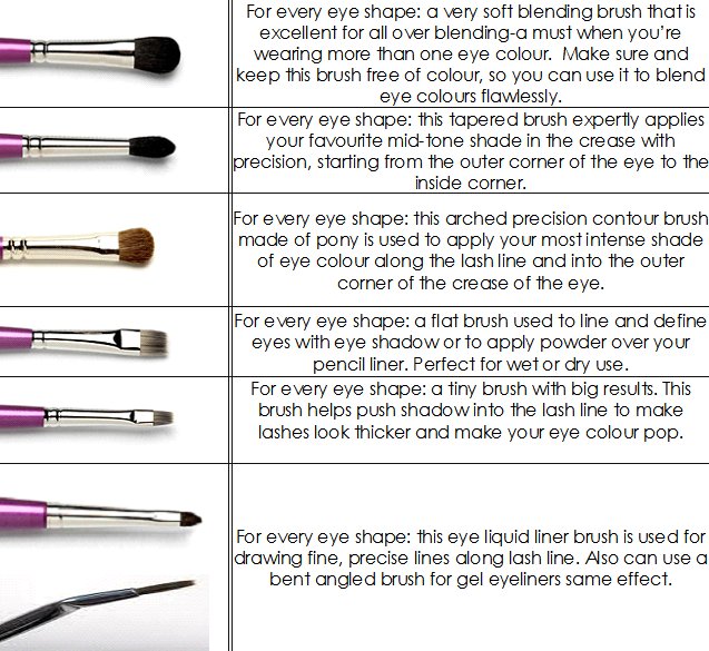 Eye shadow for beginners guide.