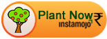 Pay in INR
