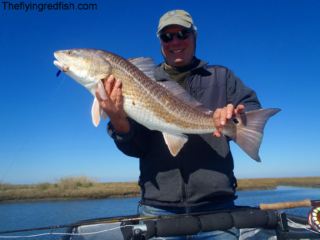 Redfishing Louisiana A Guides Journey January Hopedale Redfish Report