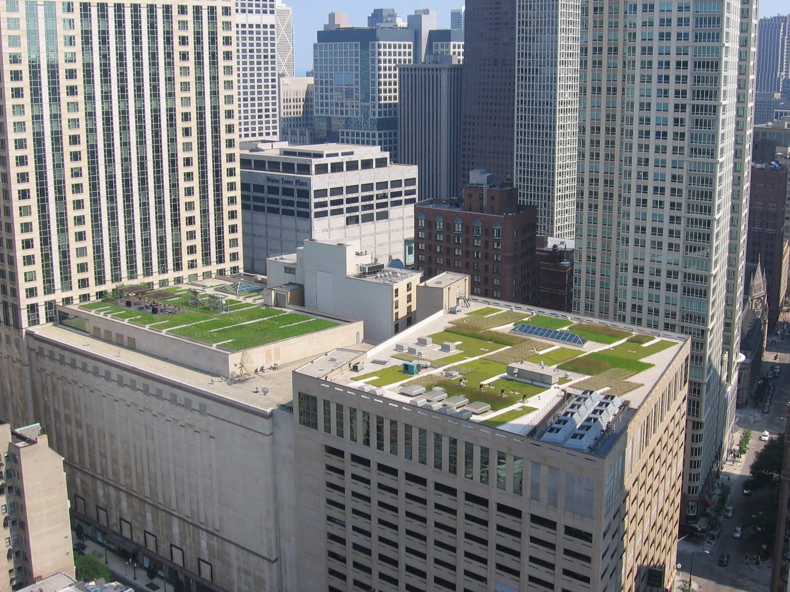 The Chicago Real Estate Local Green roofs spotted in Gold Coast