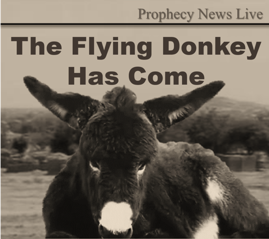 https://sites.google.com/site/propheciesfulfillonline/dajjal-anti-christ-and-his-flying-donkey