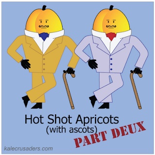 Hot Shot Apricots (with ascots) Part Deux