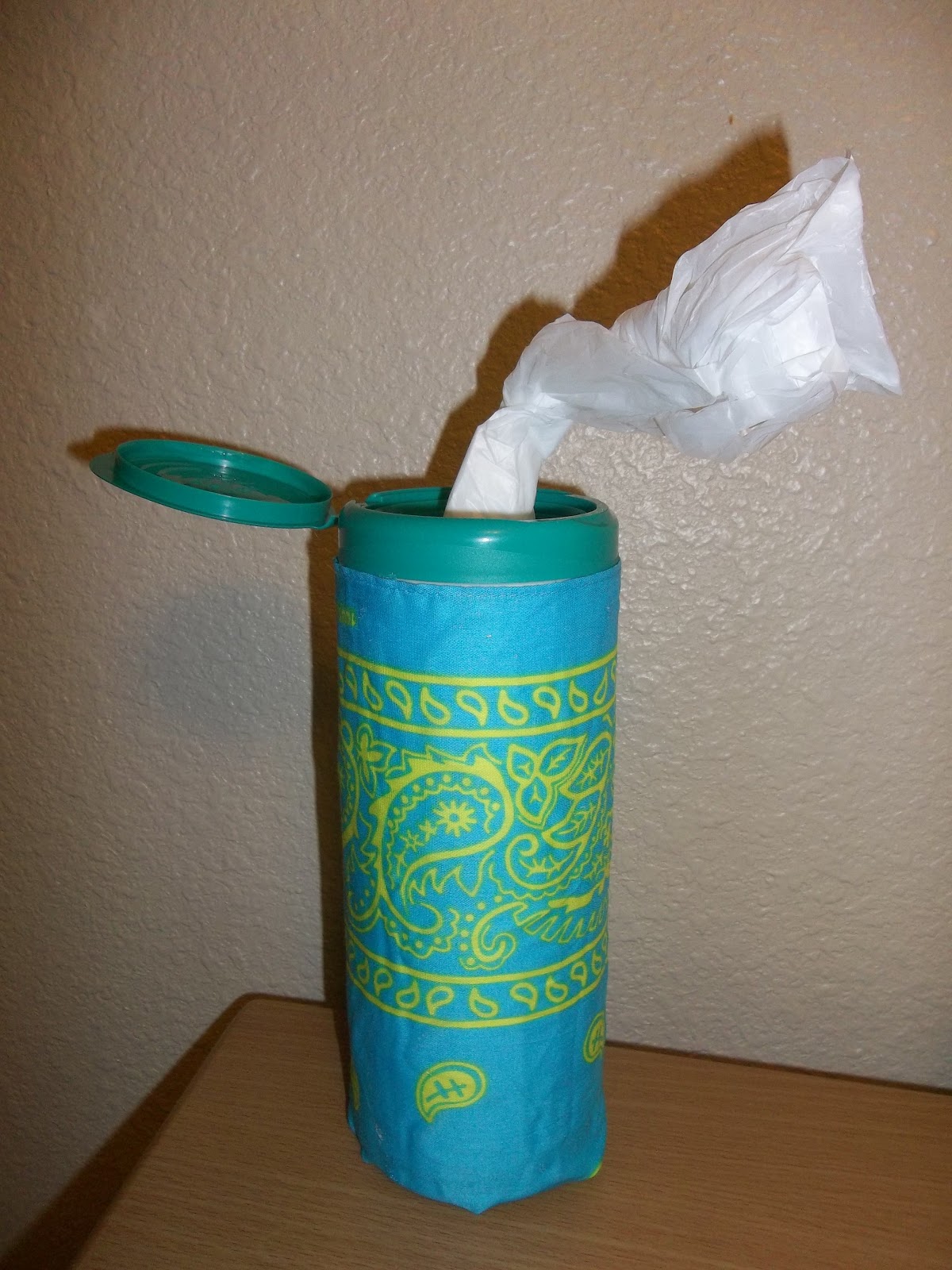 The Traveling Housewife Walmart Bag Holder Pin Test