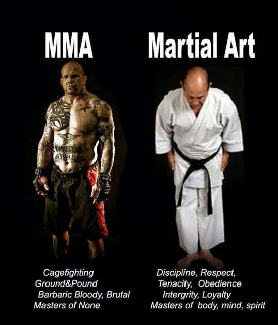 SEARCH AND BUY THIS PRODUCT STRENGTH FIGHTER™: MMA vs. Martial Arts