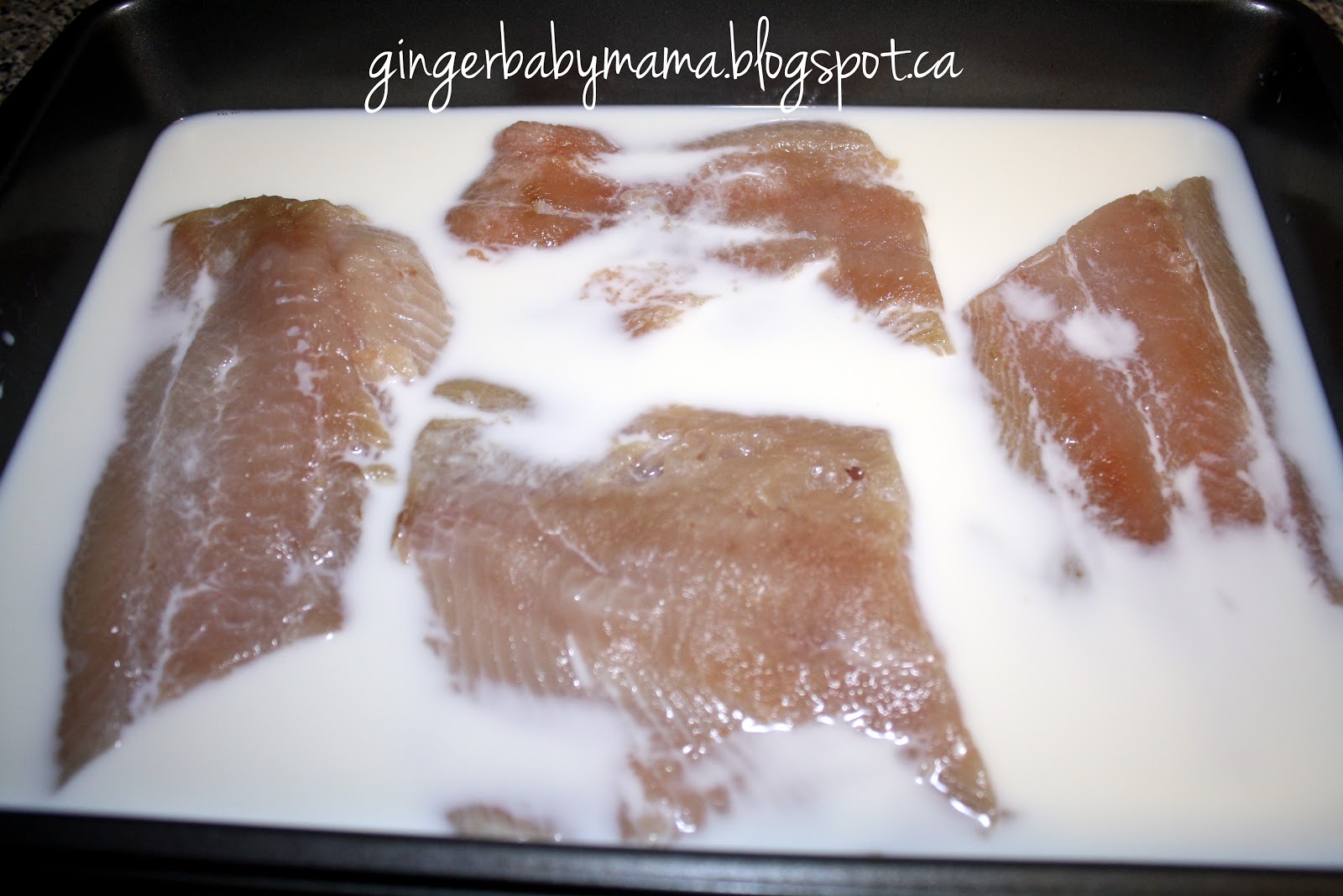 GingerBabyMama Quick and Easy Baked Salmon Parmesan