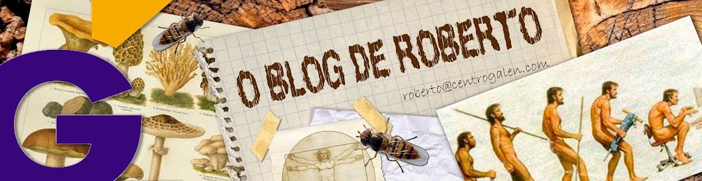 O blog de Roberto