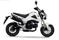 Honda MSX125