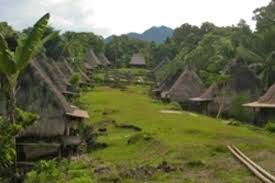 http://backpacker-wisata.blogspot.com/