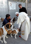 The Holy Father with St Bernards