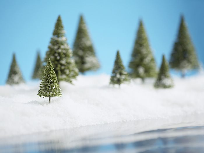 Christmas Desktop Wallpapers - Free